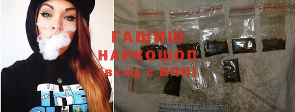 соль ск Новозыбков