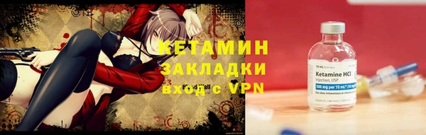 соль ск Новозыбков