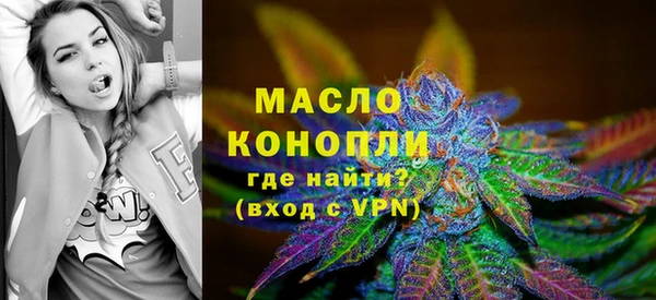 соль ск Новозыбков