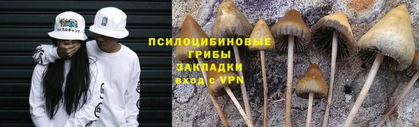 амф Нея