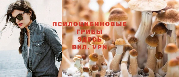 амф Нея