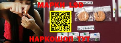 стафф Гусев