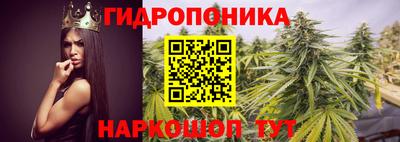 гашик Гусиноозёрск