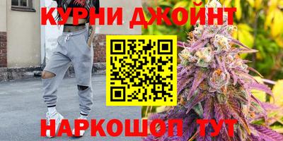 стафф Гусев