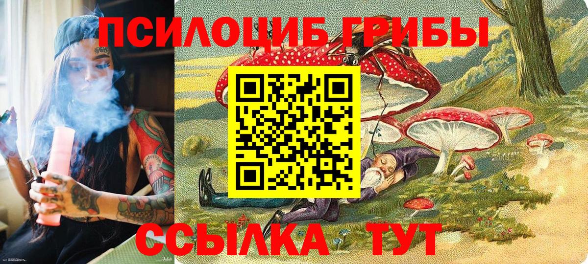 Псилоцибиновые грибы ЛСД  Вход с VPN  Йошкар-Ола 